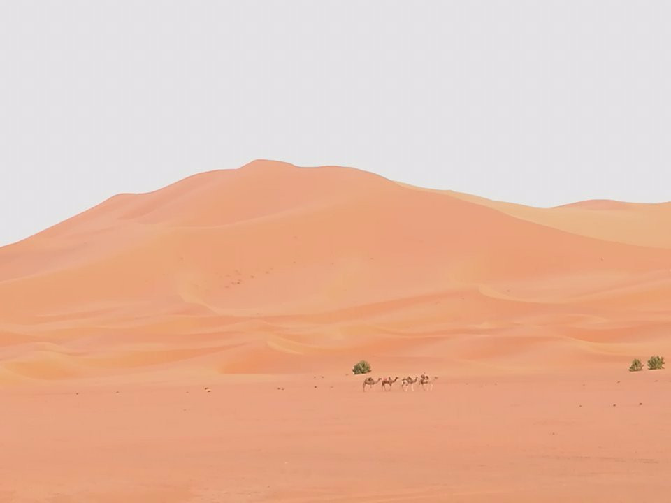 Fint Tours-阿伊特·本·哈杜筑垒村必去景点