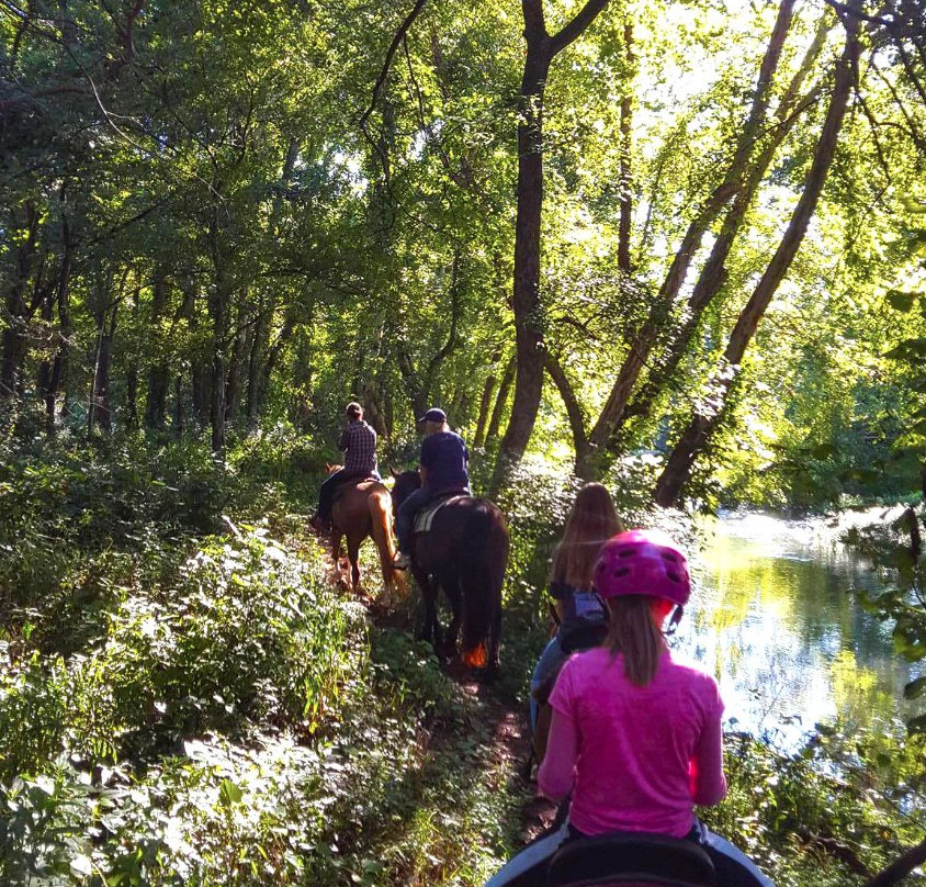 Hurricane Creek Stables, LLC景点图片