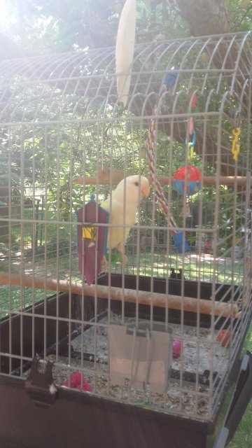 B&B Alle Rondini-家庭/游戏区