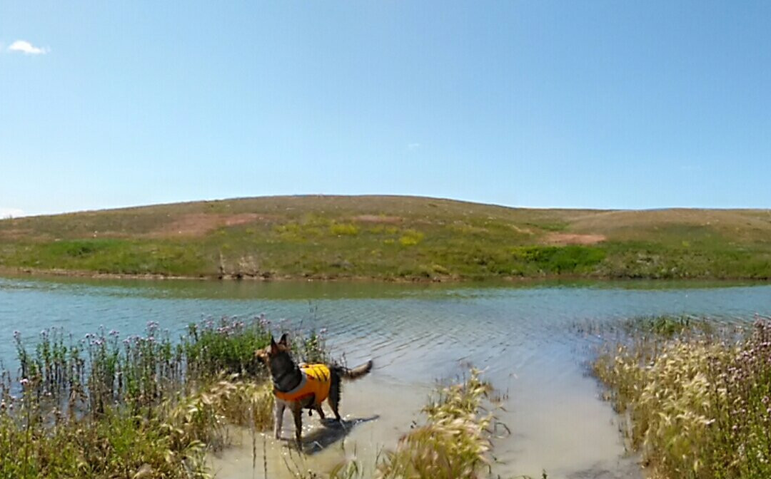 North Bootlegger Recreation Area-Shelby必去景点