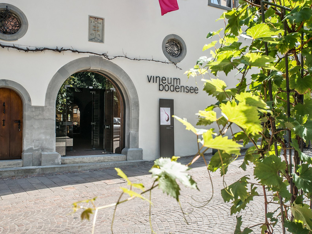 Vineum Bodensee景点图片