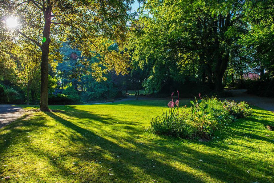 Jardin de la Rhônelle景点图片