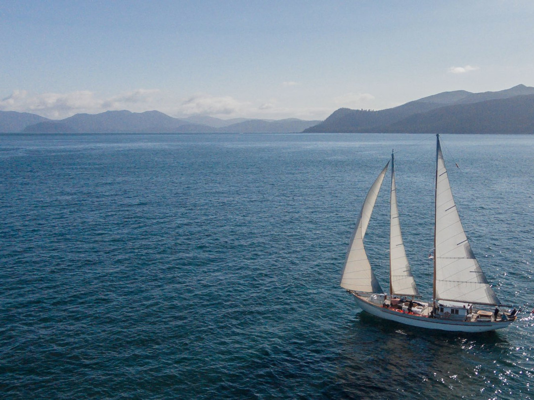 Outer Shores Expeditions-Mill Bay必去景点
