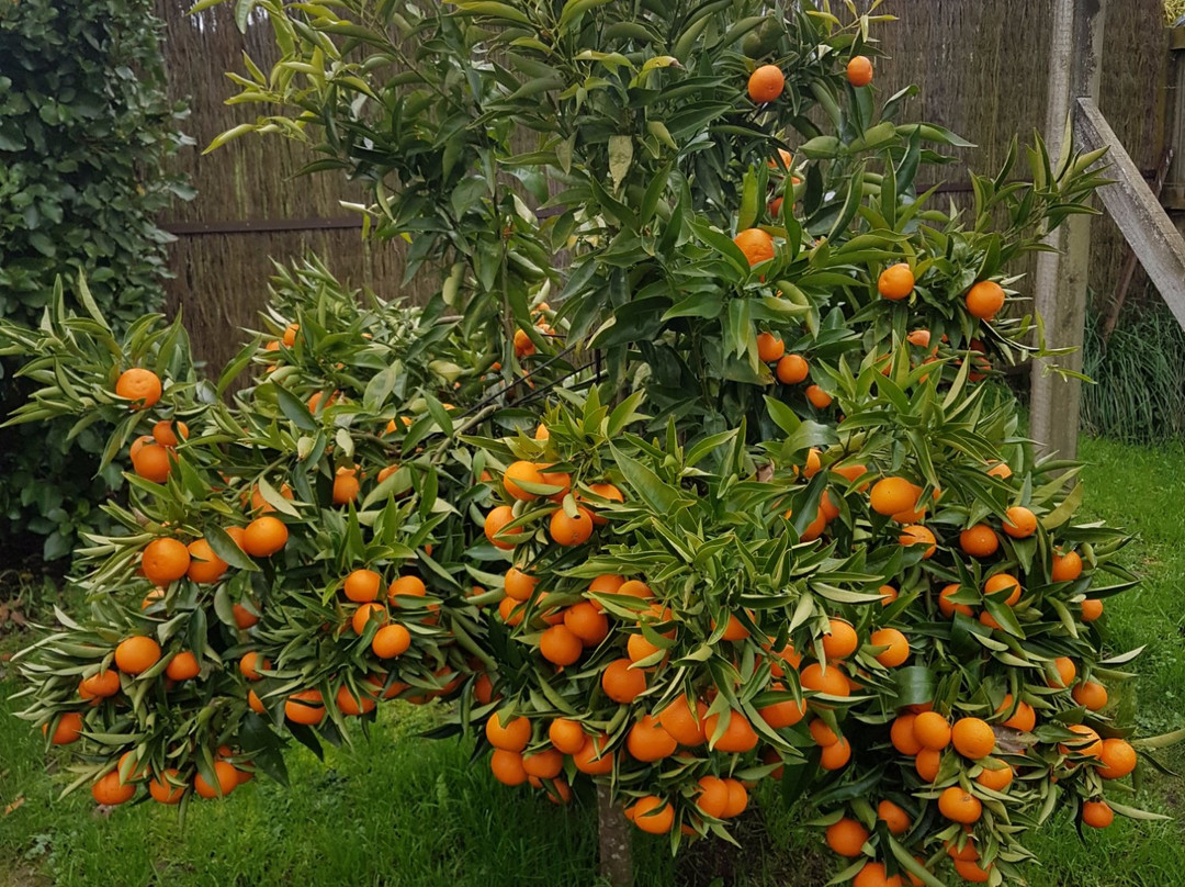 Applecross Sanctuary主图