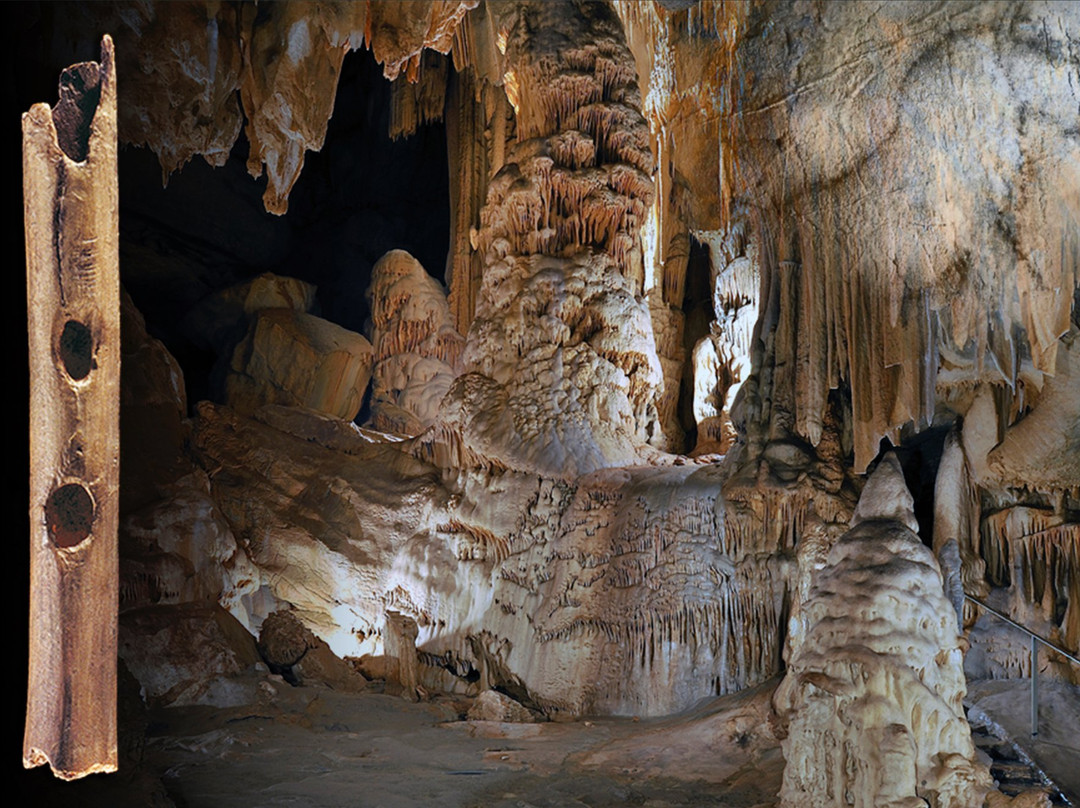 Saint-Martin-d'Arberoue旅游攻略图片