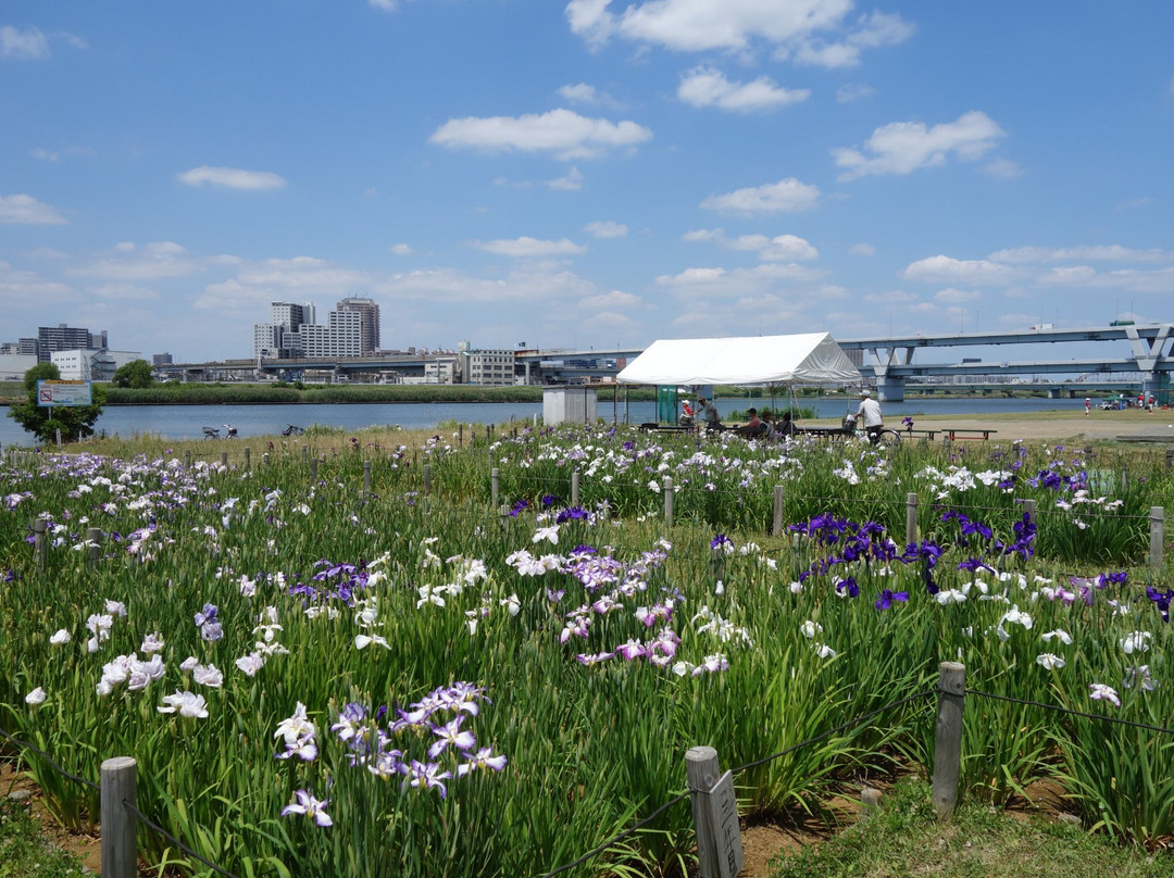 Horikiri Waterfront Park-葛饰区必去景点