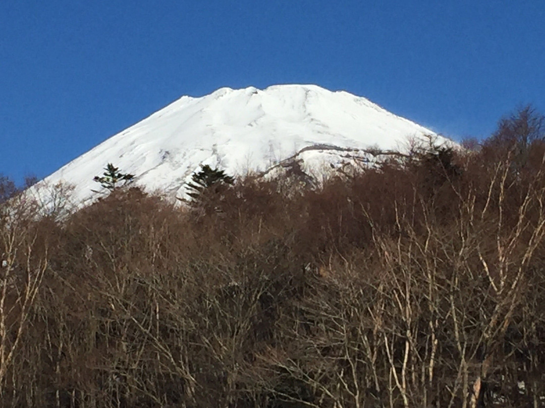 Snow Resort Yeti-裾野市必去景点