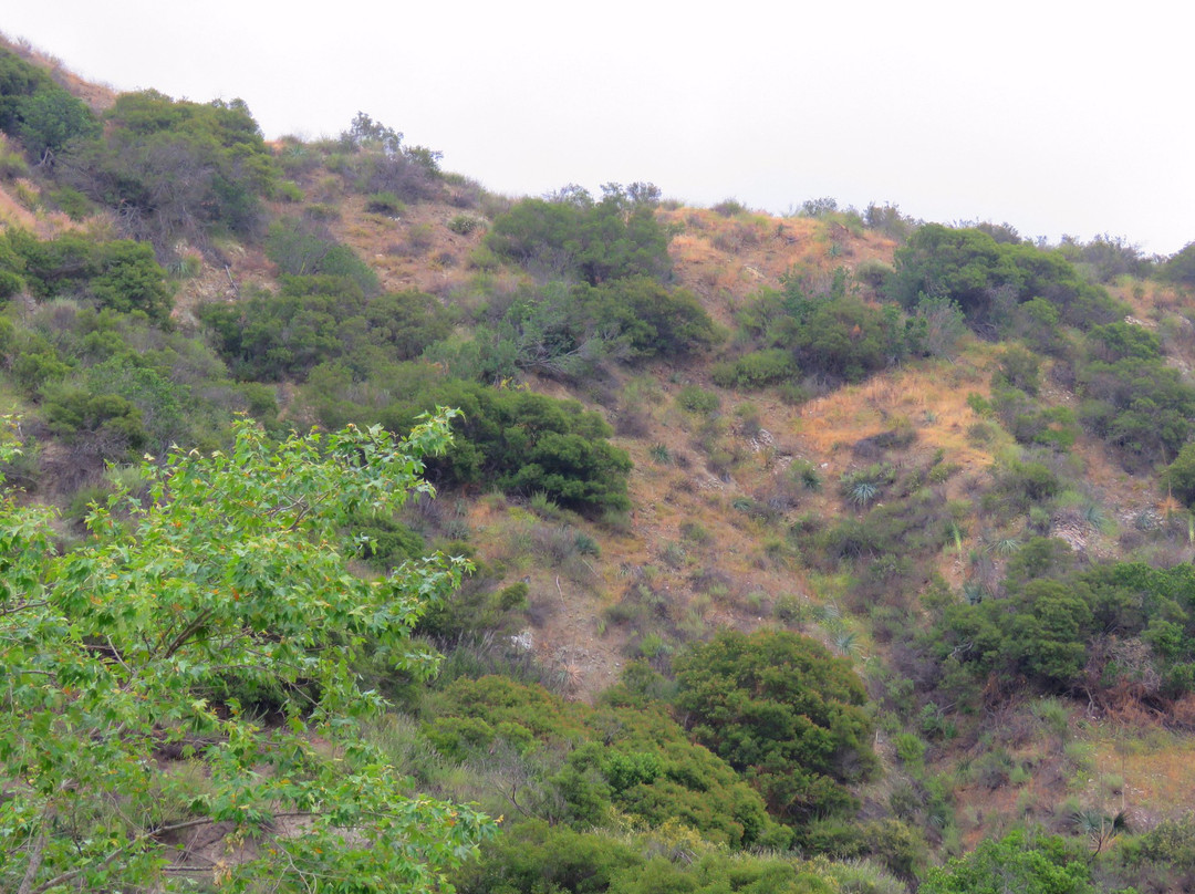 Stough Canyon Nature Center-伯班克必去景点