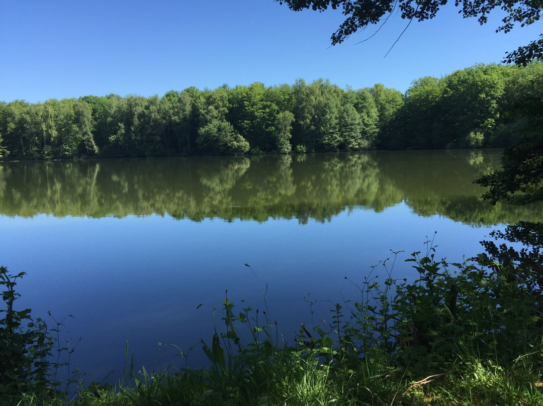 Lac des 7 Chevaux-Luxeuil-les-Bains必去景点