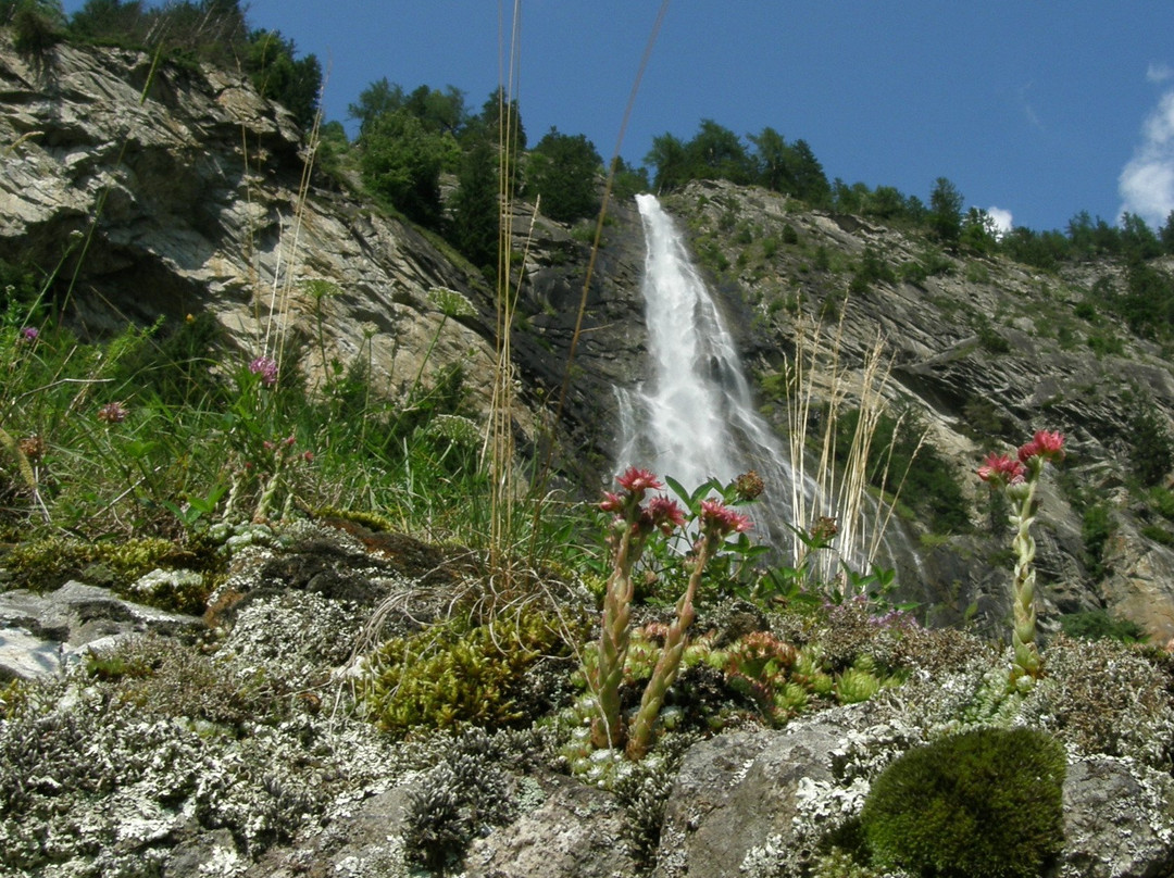 Pirker's Natur & Bio Familienhotel