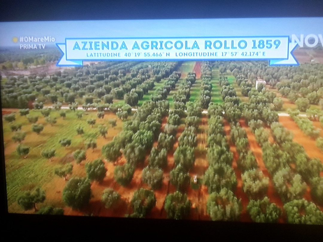 Azienda Agricola Rollo-Veglie必去景点