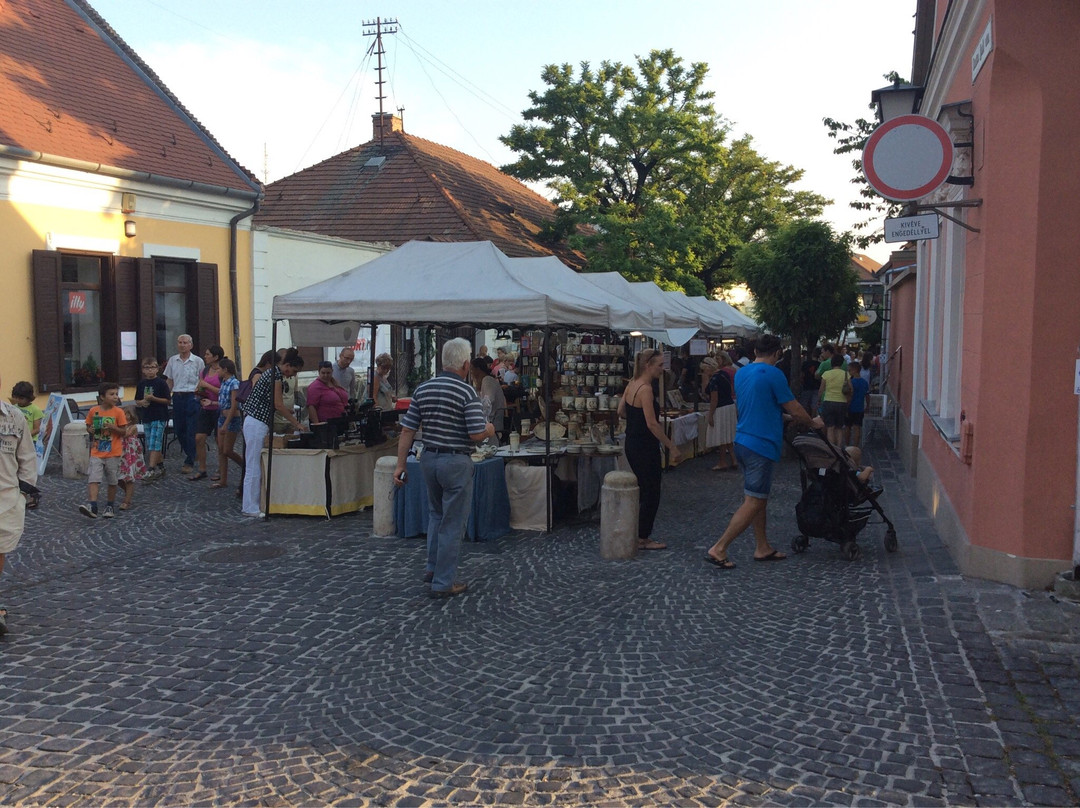 Szentendre Aquarium and Terrarium House景点图片