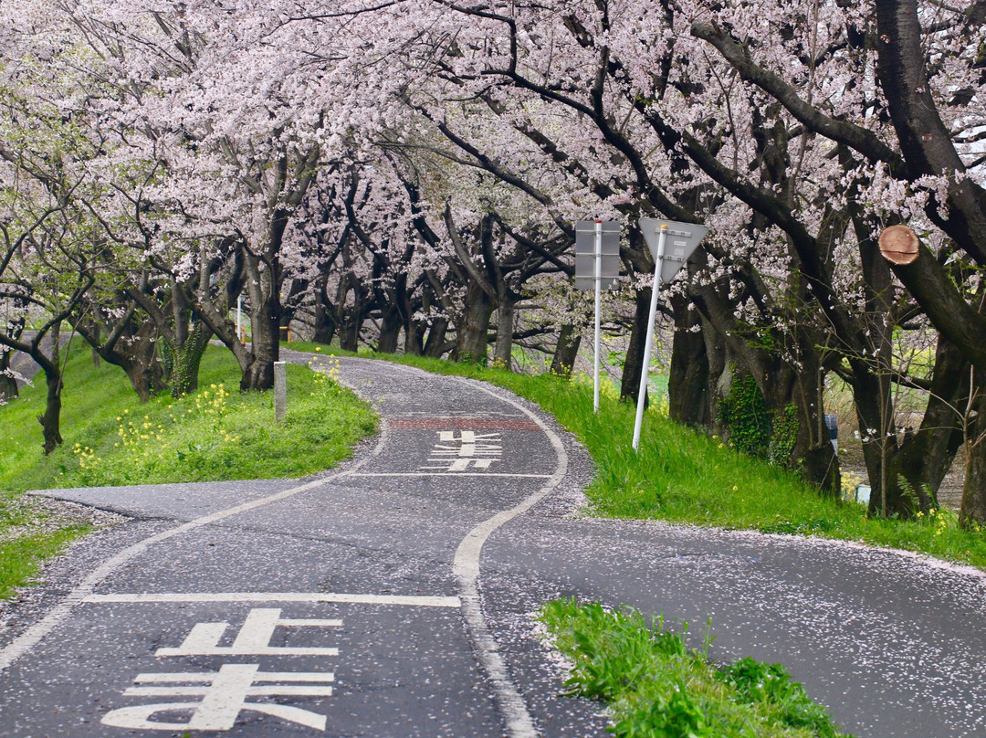 Sakuratsutsumi Park-吉见町必去景点