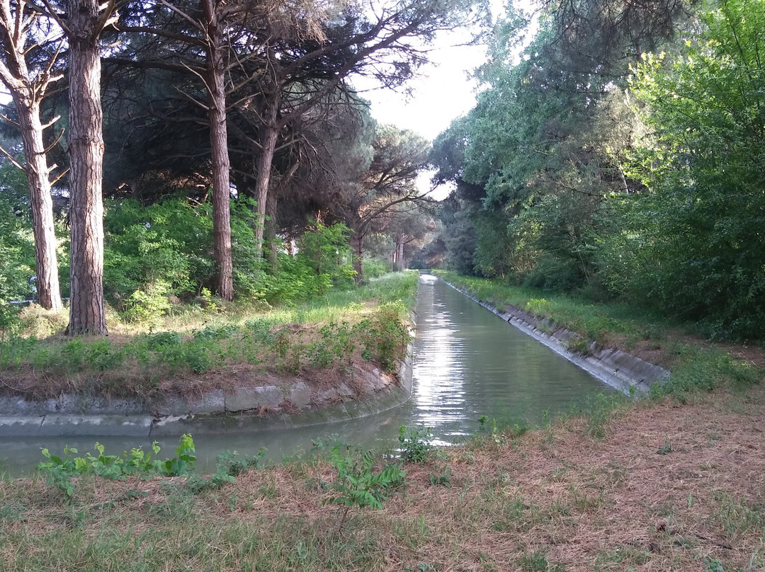 Pinete dette della Ribaldesca e delle Motte景点图片
