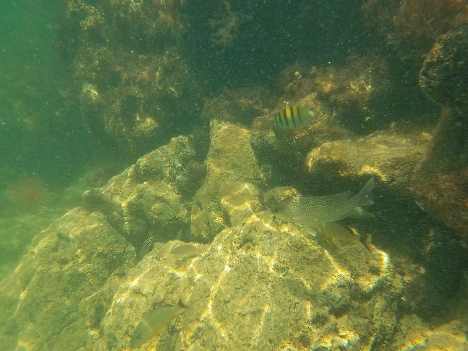 Surf You To The Moon-伊斯拉摩拉达必去景点