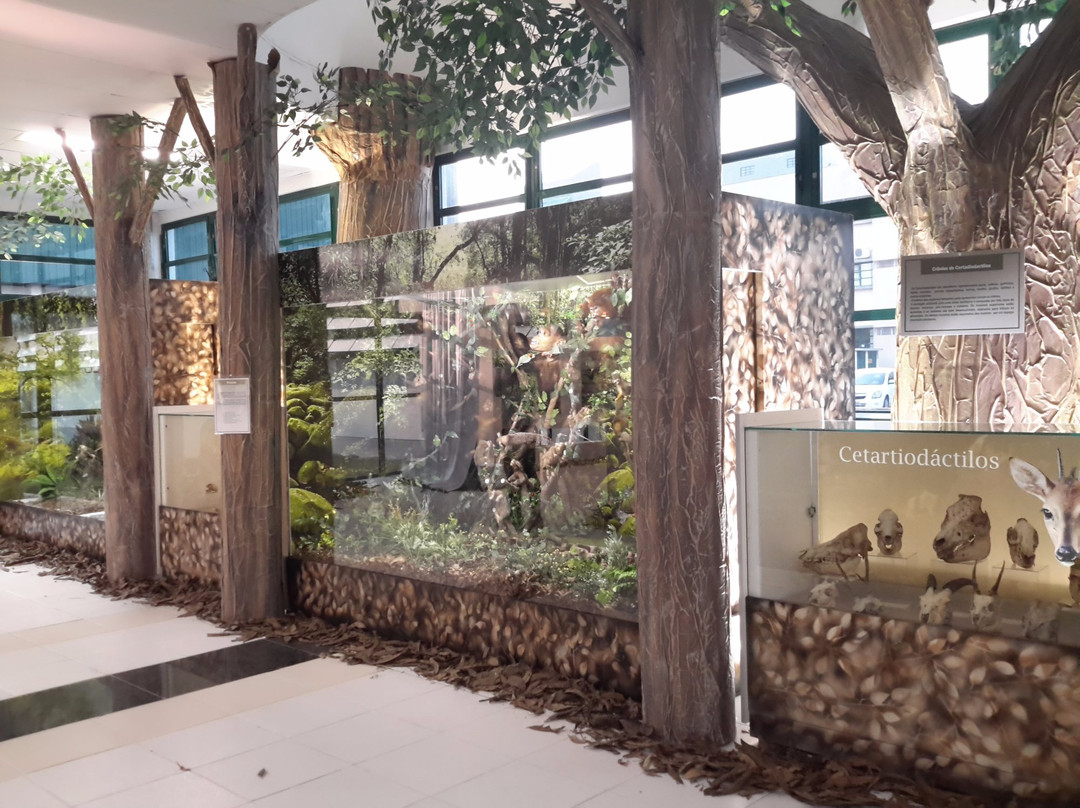 Museu de Zoologia Prof.ª Morgana Cirimbelli Gaidzinki da Unesc景点图片