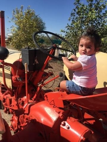 Superstition Farm-梅萨必去景点