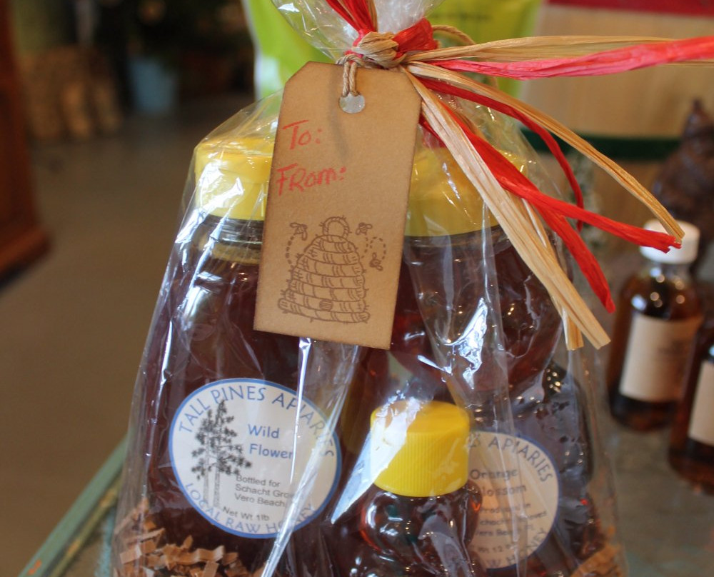 Schacht Groves-维罗海滩必去景点