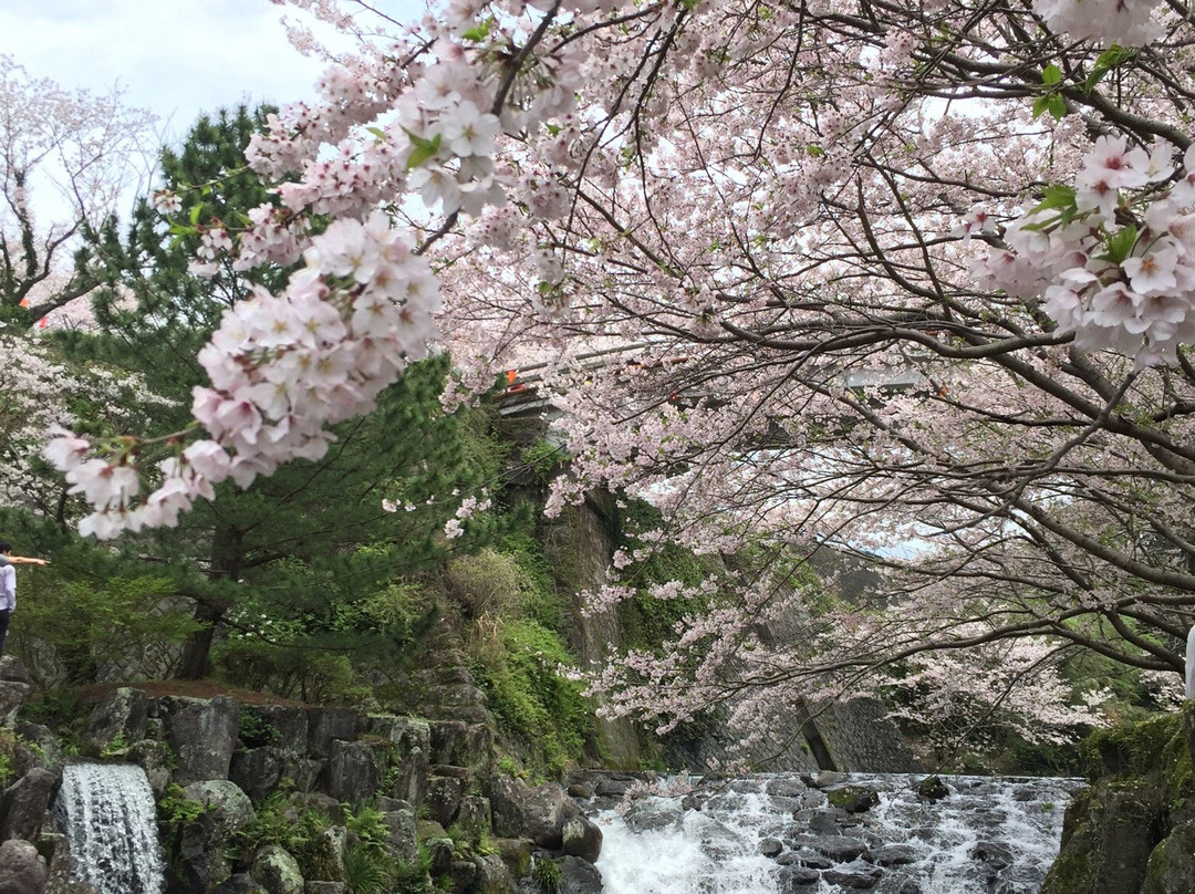 Tachibana Park-云仙市必去景点