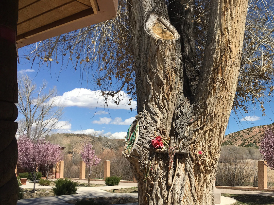Chimayo Trading Del Norte景点图片