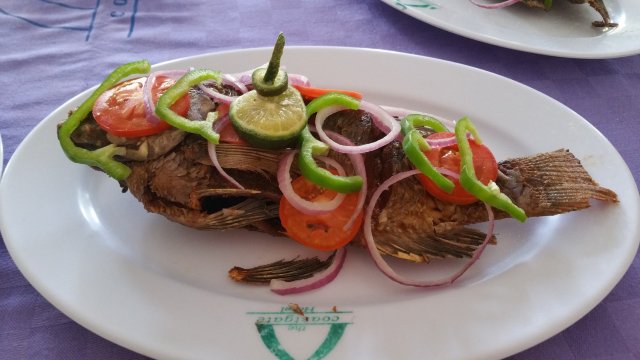 CoastGate Hotel-餐饮