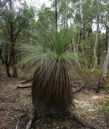 Goulburn River National Park-Baerami必去景点