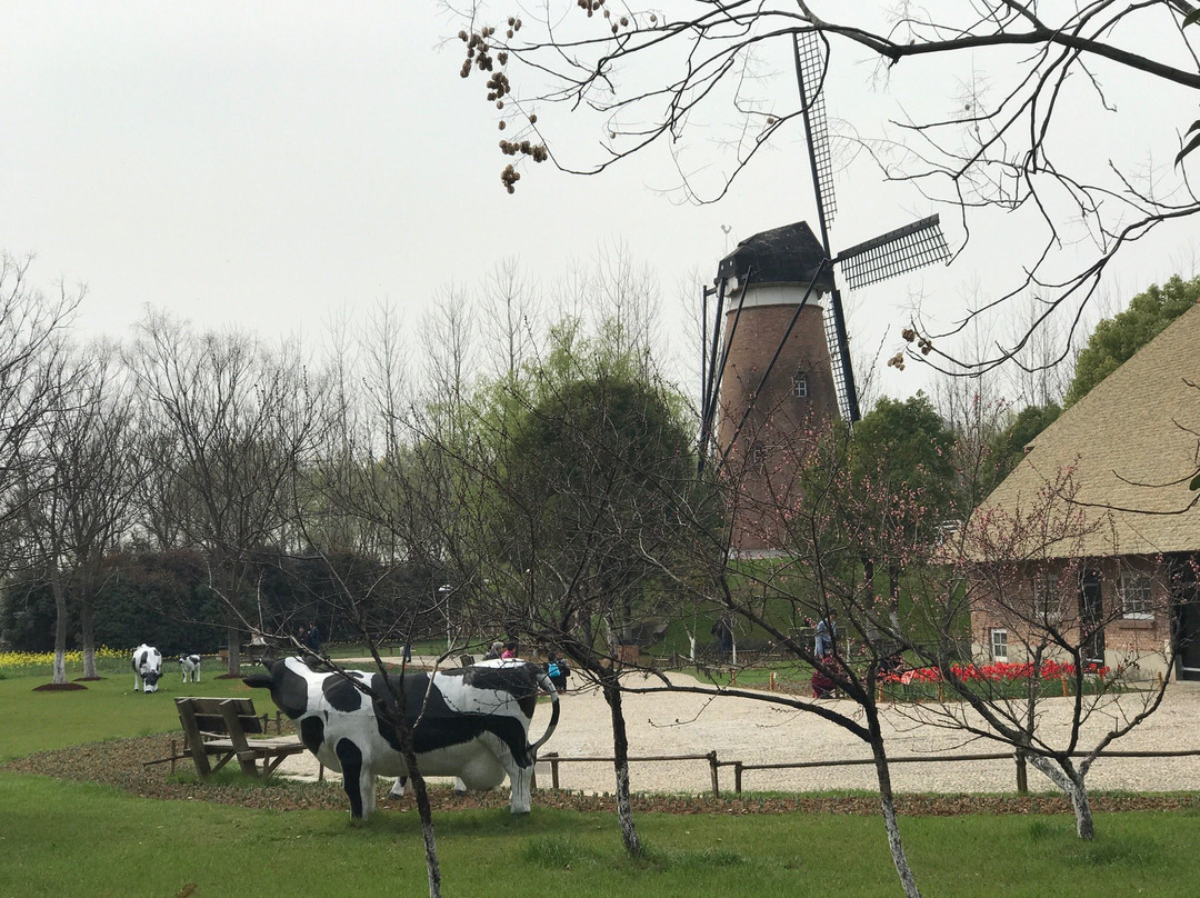 绿博园-南京市必去景点