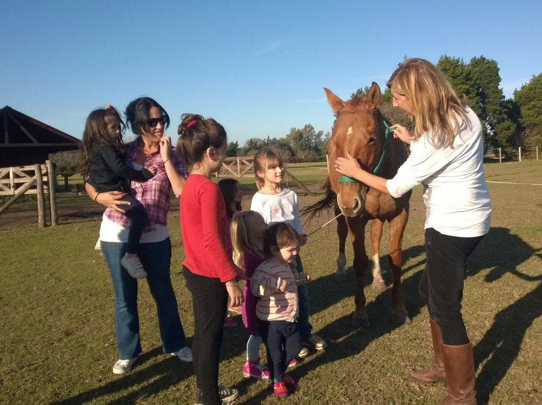 Argentina Polo Academy景点图片