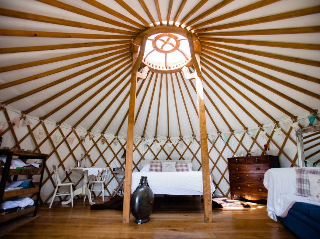 The Little Yurt Meadow