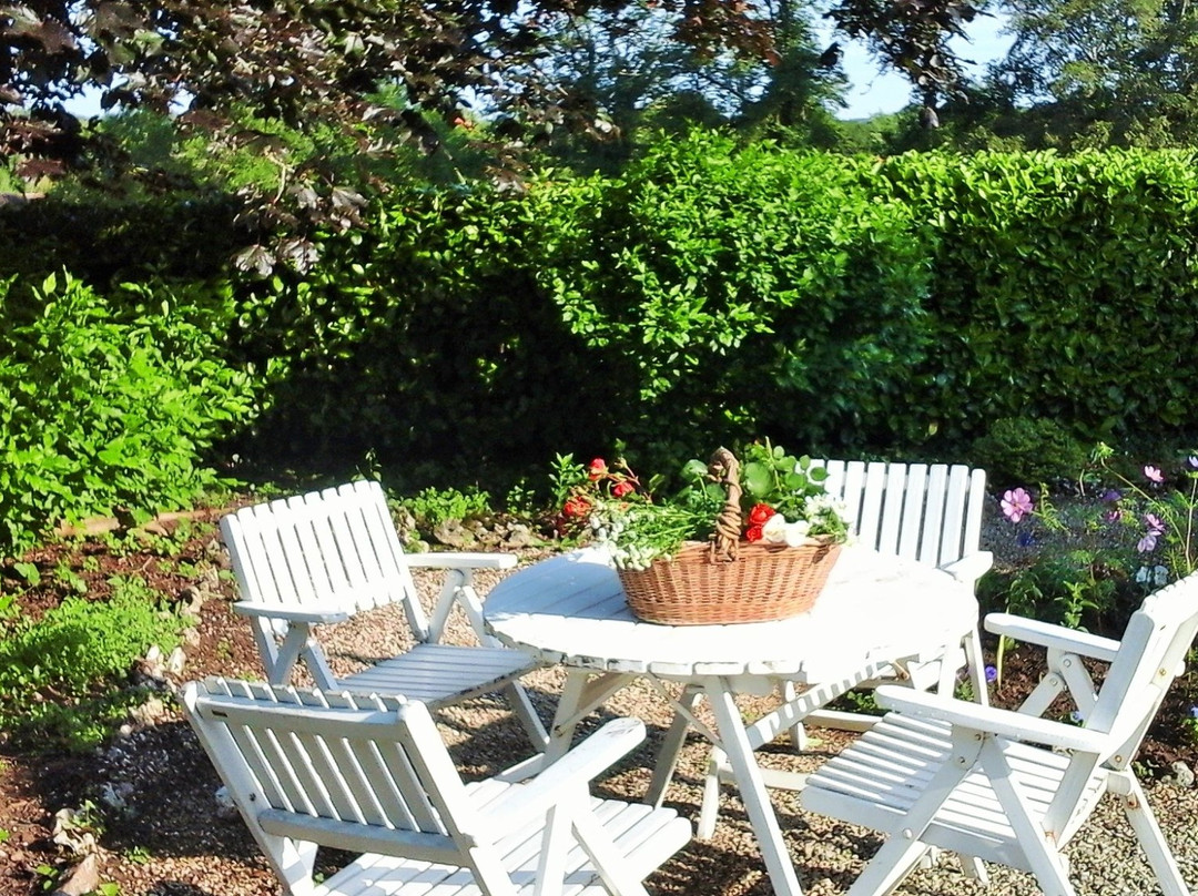 Le Magnolia Dordogne主图