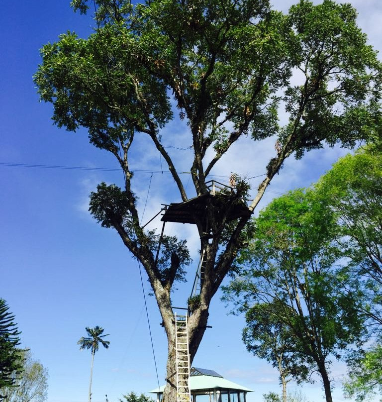 Parque Ecocenter景点图片