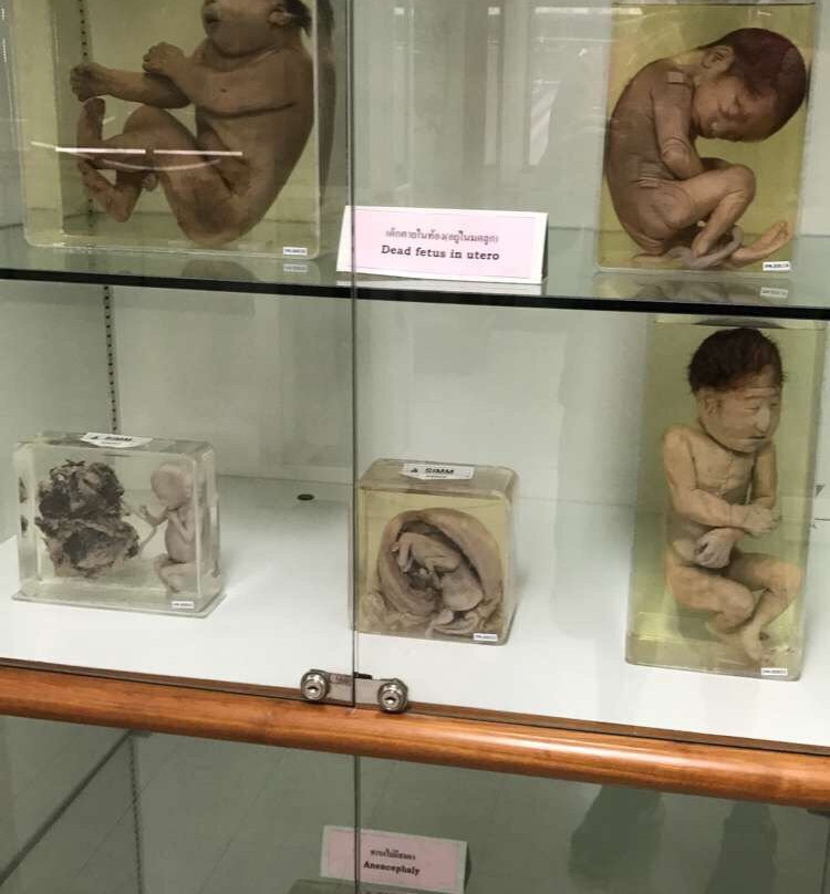Museum of a Forensic Medical Examination-托木斯克必去景点