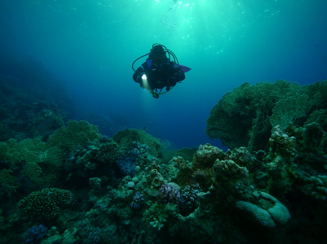 Extra Divers World Wide景点图片