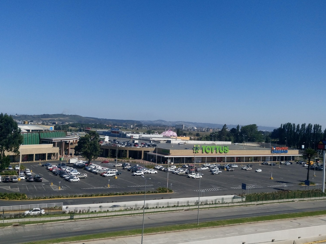 Mall Plaza Trebol-康塞普西翁必去景点