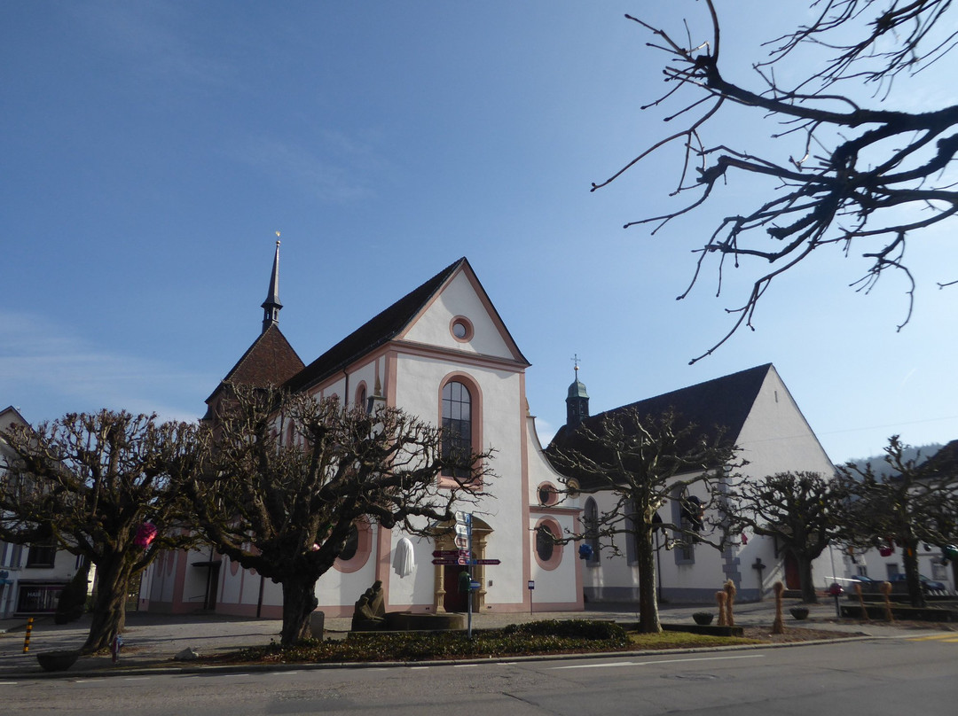 Verenamünster-Bad Zurzach必去景点