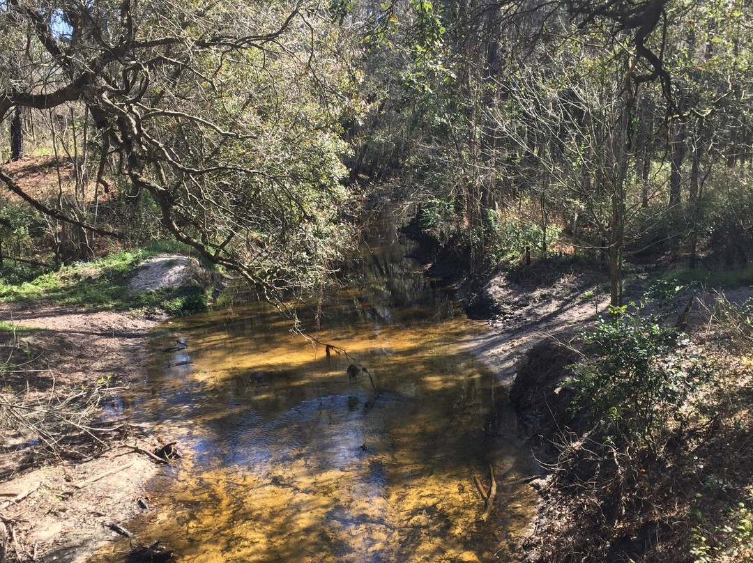 Lower Green Swamp Reserve-普兰特城必去景点