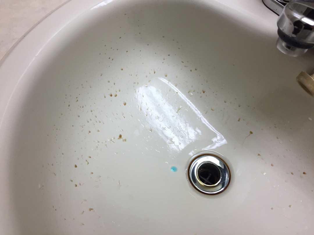 Scott酒店住宿-Hotel Le Journel Resto-Bar