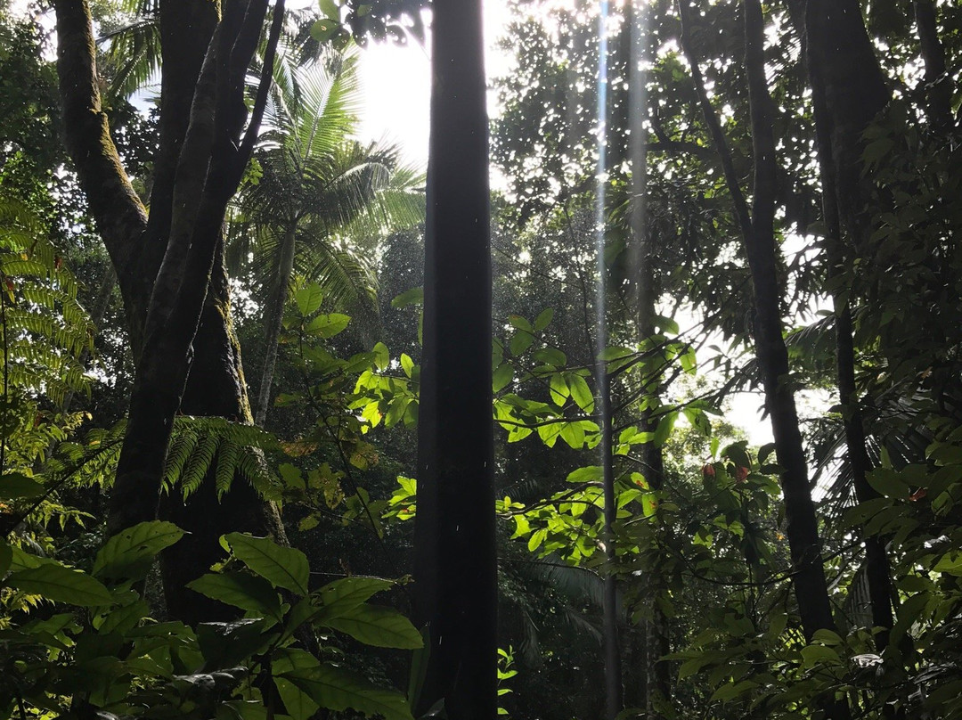 Djiru National Park-翁加灵海滩必去景点