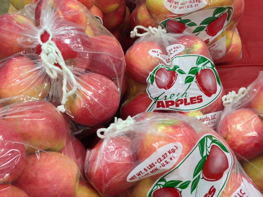 Perry Lowe Orchards-Moravian Falls必去景点