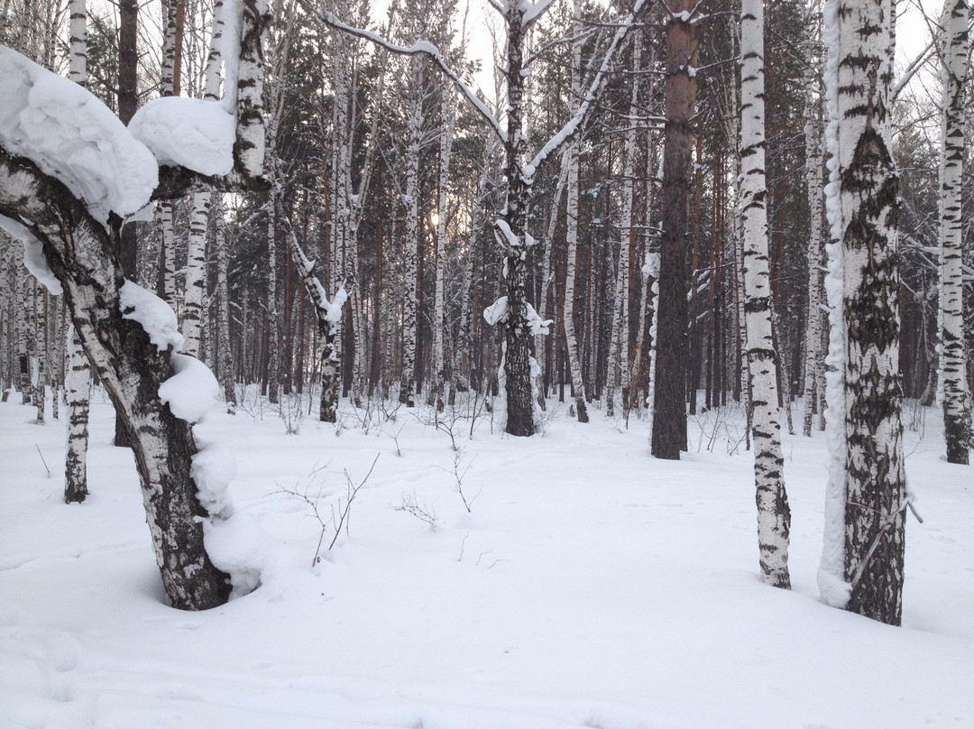 Berezovaya Roshha Ski Lodge景点图片