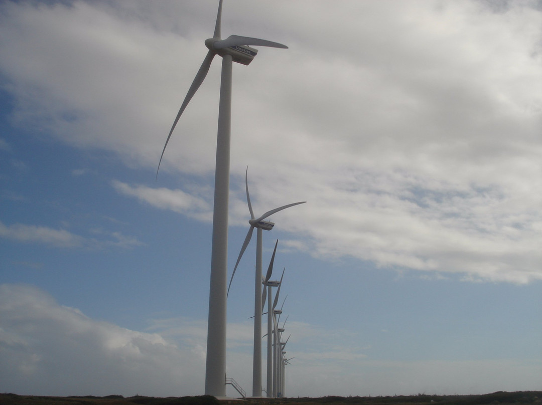 Vader Piet Wind Farm-Santa Cruz必去景点