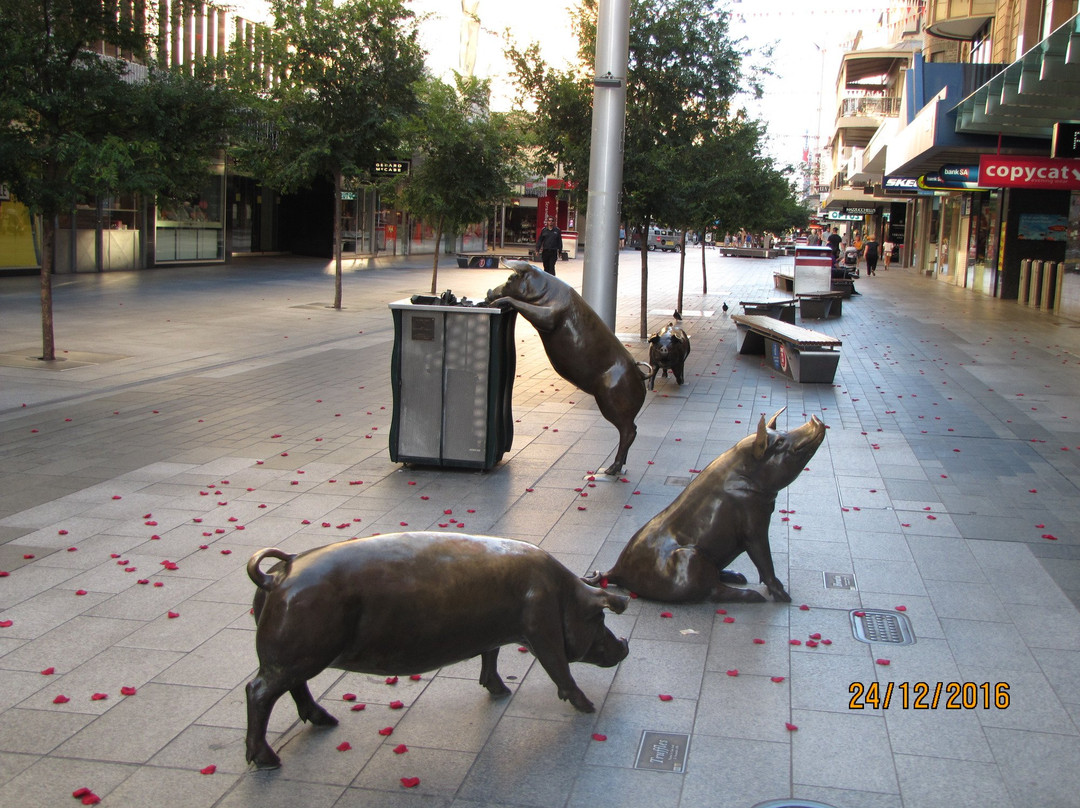 The Rundle Mall Pigs景点图片