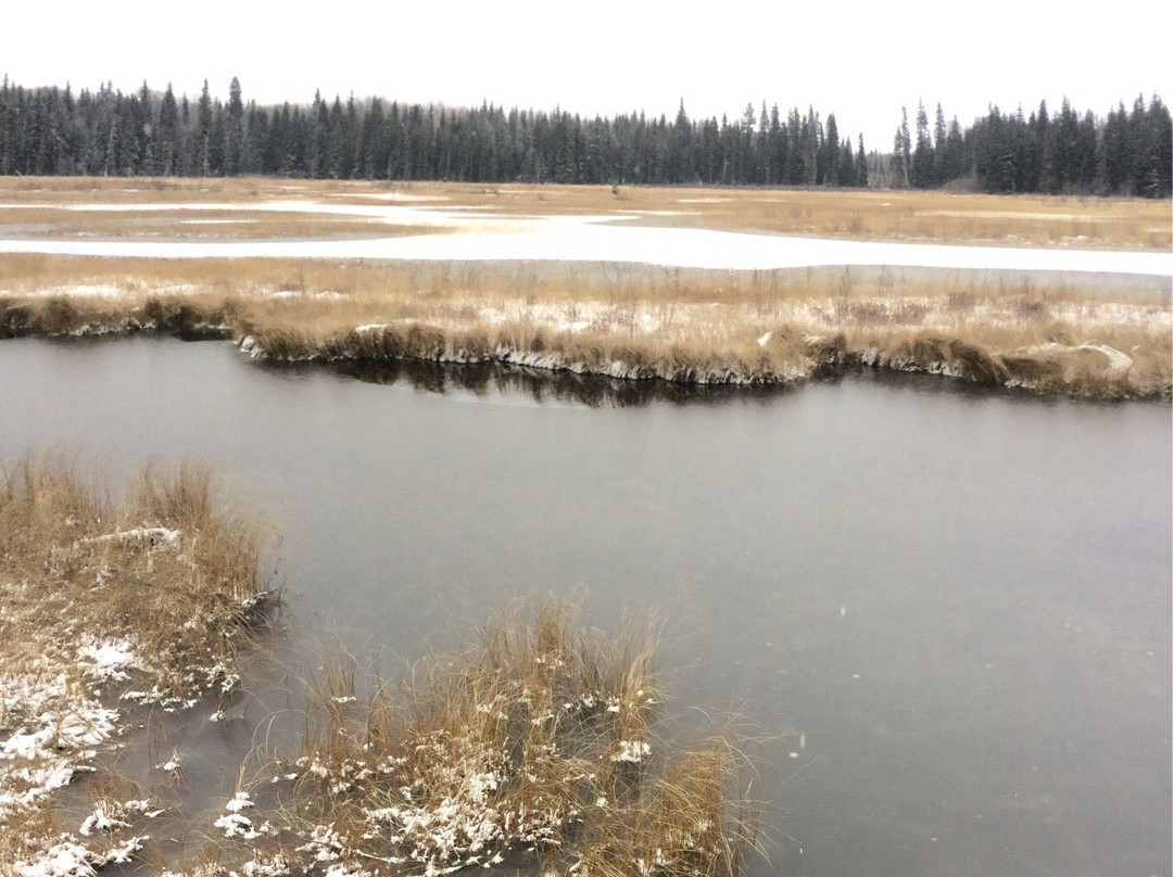 Eskers Provincial Park-Reid Lake必去景点