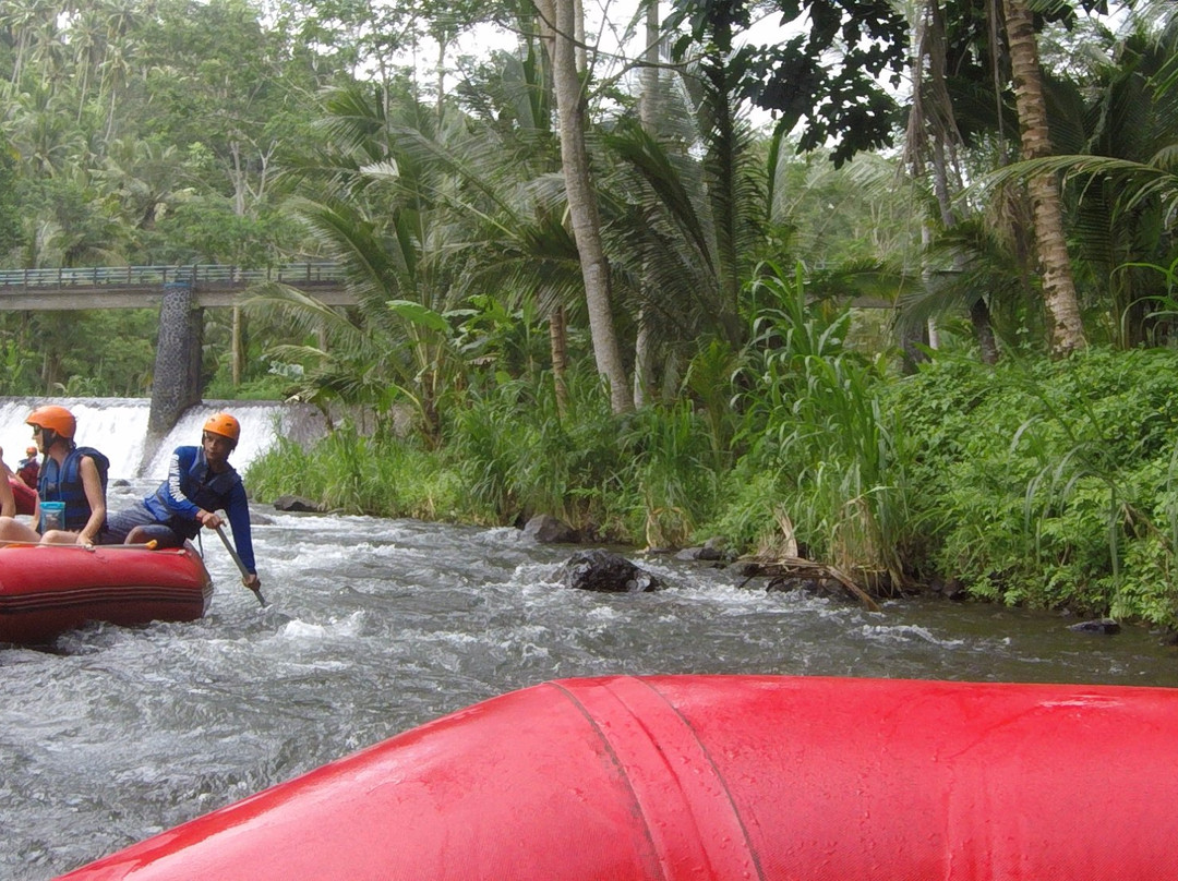 Sasa Tours-Bunutan必去景点