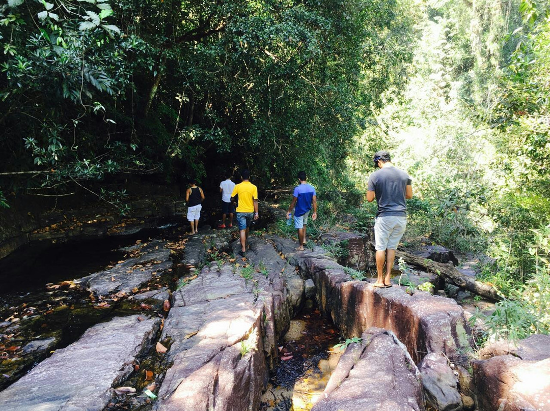 Makandawa Forest Reserve-Kitulgala必去景点