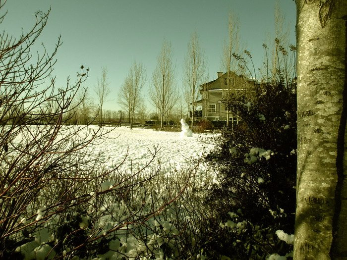 Waterfront Commons Park-匹特草原必去景点