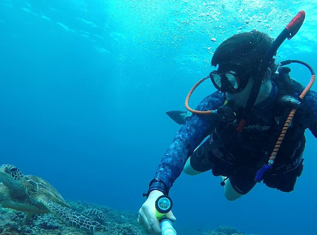 Scorpion Scuba Safaris景点图片