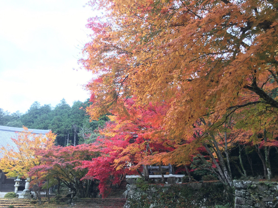 Toko-ji Temple景点图片