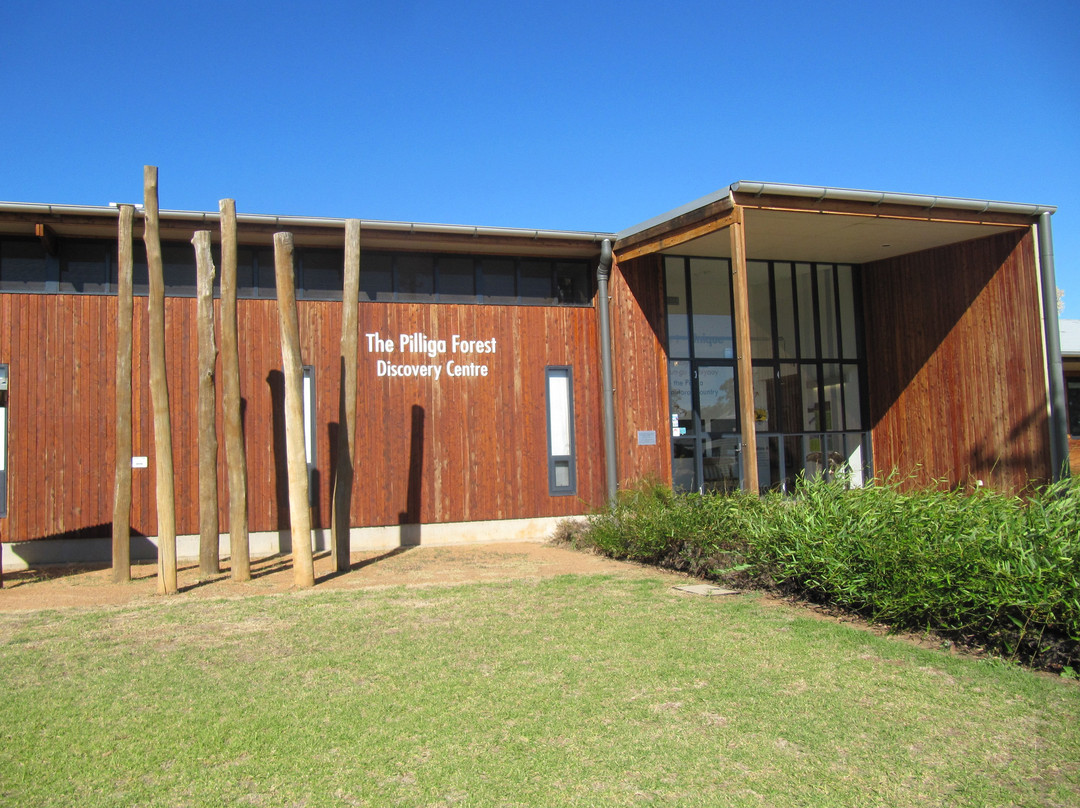 The Pilliga Forest Discovery Centre景点图片