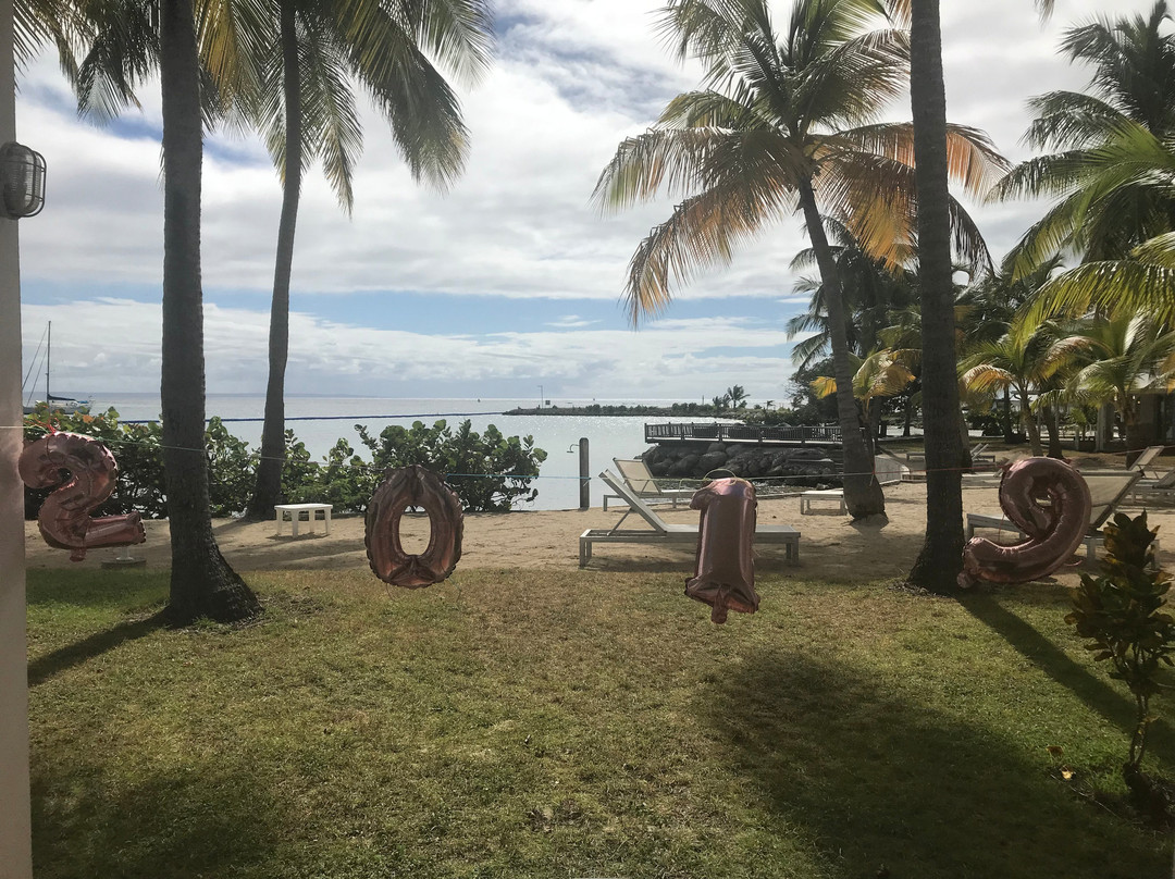 椰子园酒店主图